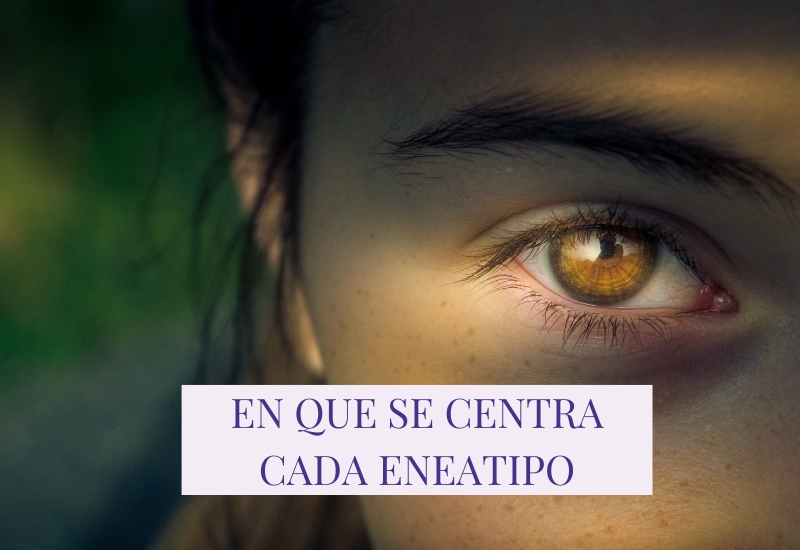 En Que Se Centra Cada Eneatipo