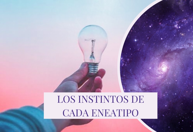 Los Instintos De Cada Eneatipo